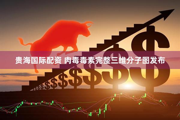 贵海国际配资 肉毒毒素完整三维分子图发布