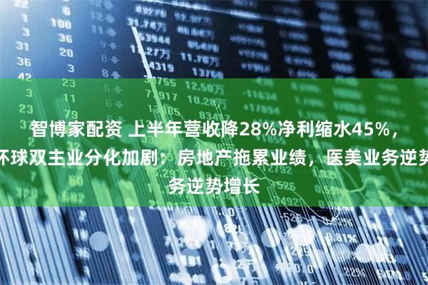 智博家配资 上半年营收降28%净利缩水45%，苏宁环球双主业分化加剧：房地产拖累业绩，医美业务逆势增长