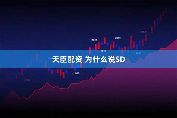 天臣配资 为什么说SD